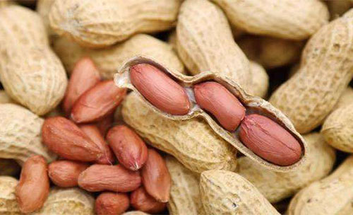 ���̴��߿��ԳԻ����� ��ʲô�����̴����